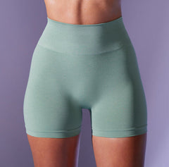 Seamless cationic yoga suit sports shorts and pants 6 colors-2
