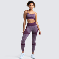 Quick Dry Yoga Vest Set Professional Sports Running Seamless Fitness Bra Set for Women