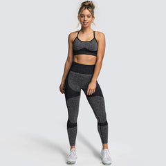 Quick Dry Yoga Vest Set Professional Sports Running Seamless Fitness Bra Set for Women