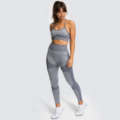 Quick Dry Yoga Vest Set Professional Sports Running Seamless Fitness Bra Set for Women