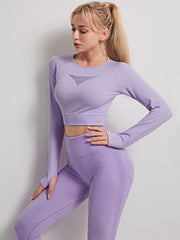 Wholesale Seamless yoga suit set with high waist sports and long sleeves 6 colors