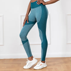 Seamless yoga pants Women's high waist workout pants workout leggings 6colors