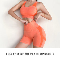Seamless yoga wear women's sports suit running fitness wear fast dry tights yoga pants fitness yoga