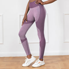 Seamless yoga pants Women's high waist workout pants workout leggings 6colors